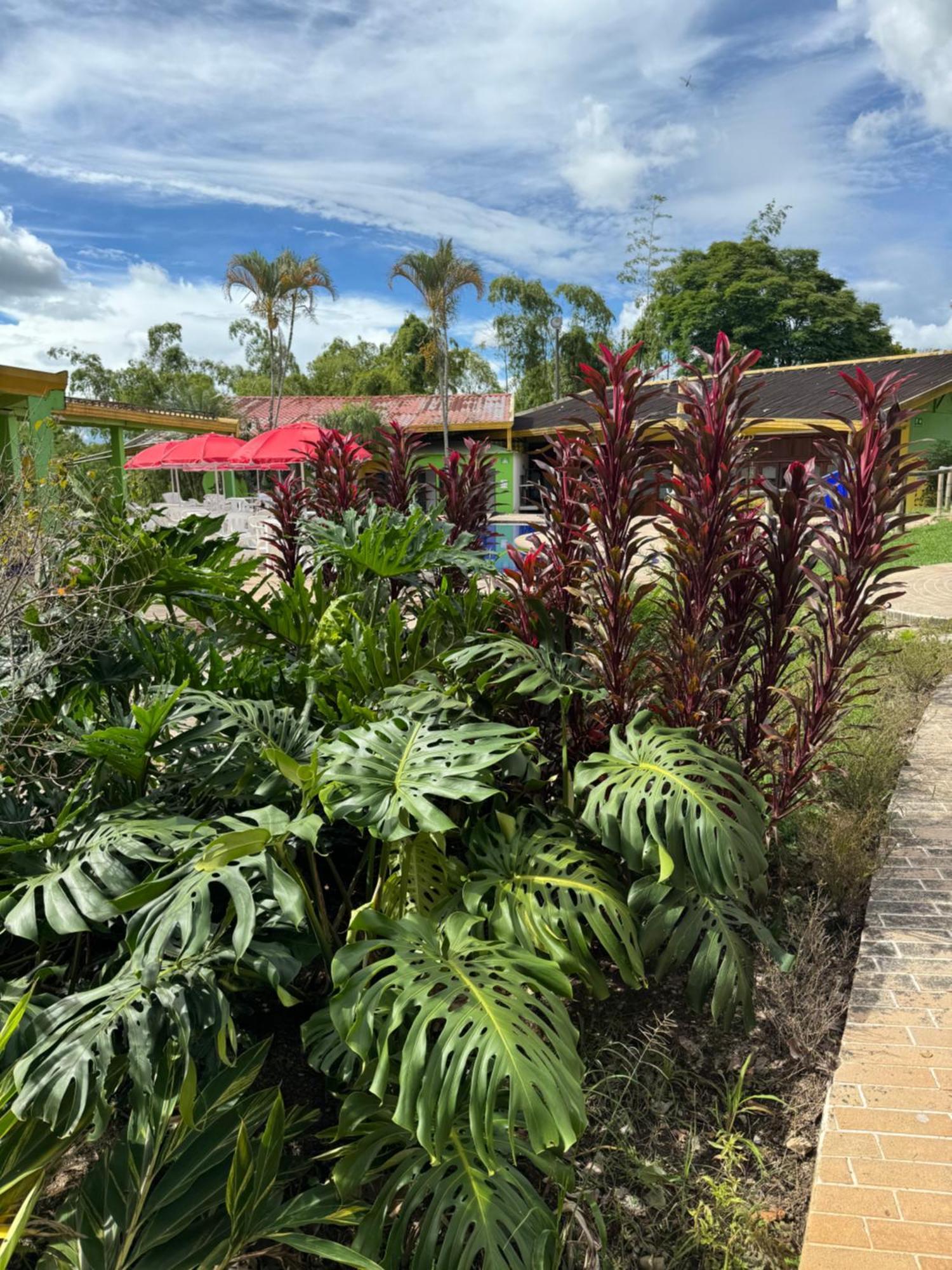 Ecohotel La Casona Pereira Exterior photo
